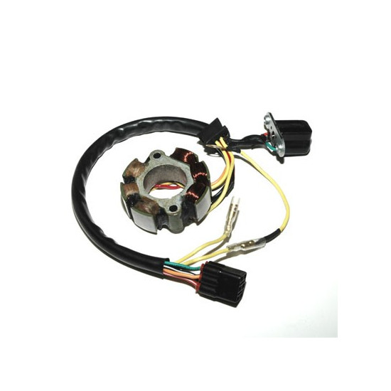 ELECTROSPORT apvijos (su...