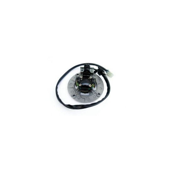 ELECTREX windings YAMAHA YZF250 '01-'11, YZF400/426 '98-'02, YZF450
