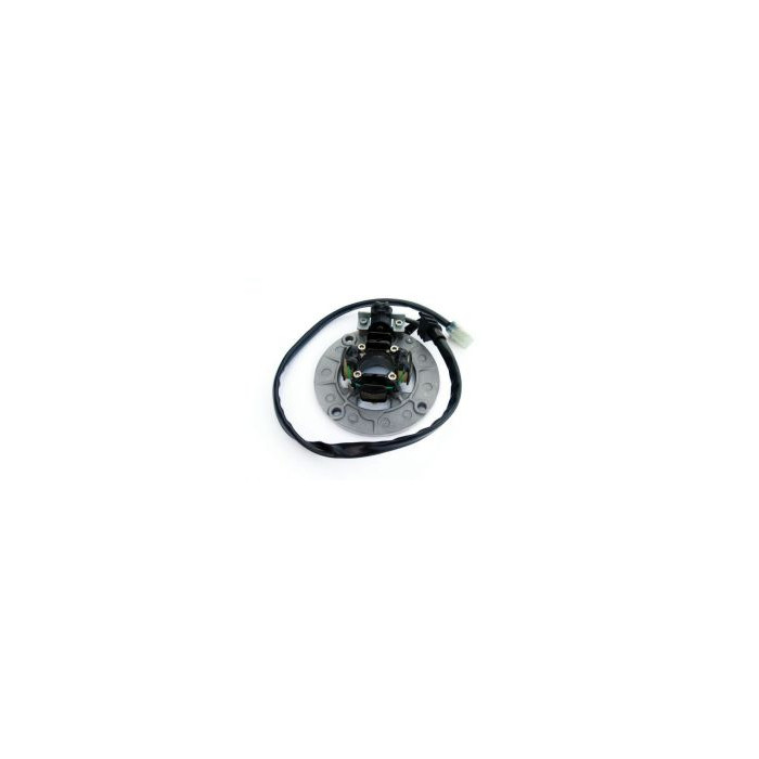 ELECTREX windings YAMAHA YZF250 '01-'11, YZF400/426 '98-'02, YZF450