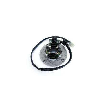 ELECTREX windings YAMAHA YZF250 '01-'11, YZF400/426 '98-'02, YZF450