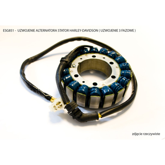 ELECTROSPORT windings HARLEY-DAVIDSON (winding 3 contacts)