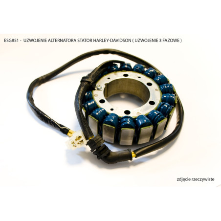 ELECTROSPORT windings HARLEY-DAVIDSON (winding 3 contacts)