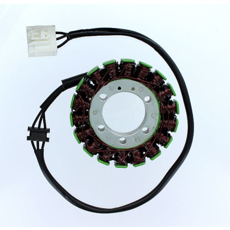 ELECTROSPORT windings KAWASAKI ZR 750 (07-10), 750 (07-10), 800 (13-15), 1000 (07-09)