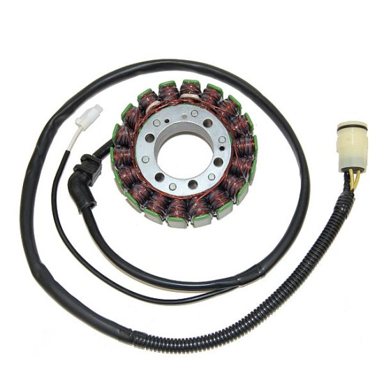 ELECTROSPORT windings KAWASAKI ZX-12R (02-03)