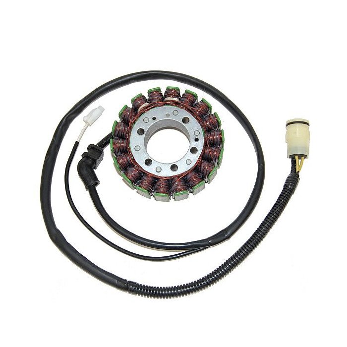ELECTROSPORT windings KAWASAKI ZX-12R (02-03)