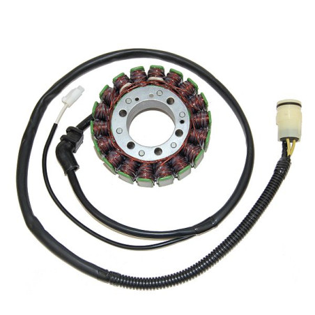 ELECTROSPORT windings KAWASAKI ZX-12R (02-03)