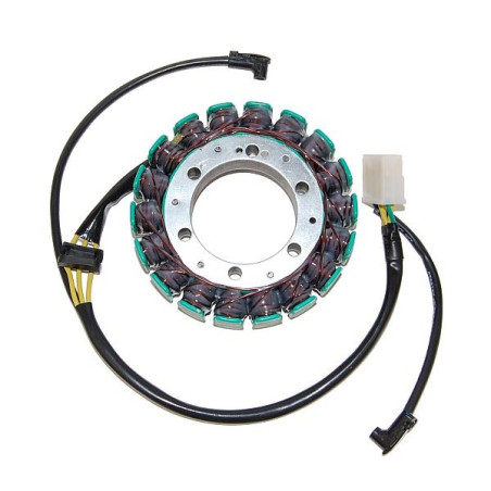 ELECTROSPORT apvijos KAWASAKI ZX-9R NINJA (00-06)