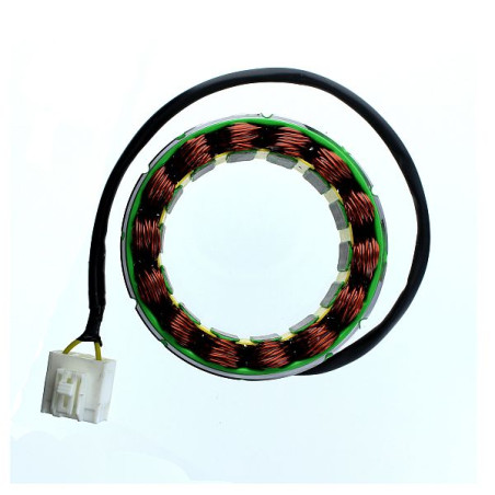 ELECTROSPORT windings MOTO GUZZI Nevada 750 (12-13), California vintage 1100 (06-11)