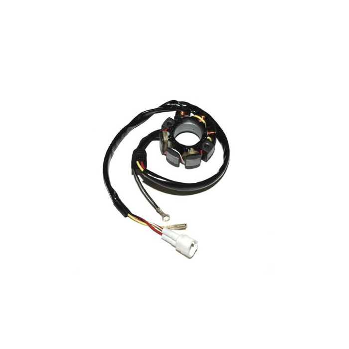 ELECTROSPORT windings (with lights) KTM 400/450/525/540/560