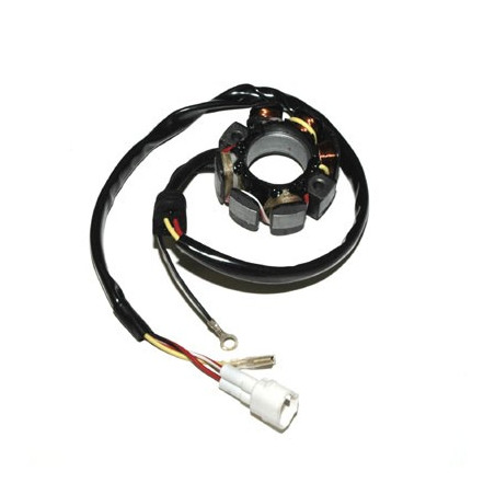 ELECTROSPORT windings (with lights) KTM 400/450/525/540/560