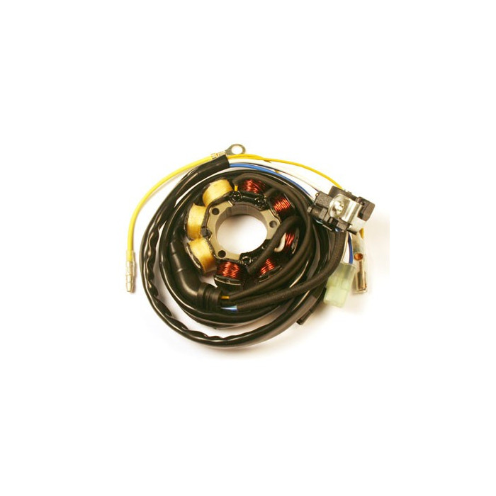 ELECTROSPORT coils (with lights) HONDA CRF 250R (04-09), CRF 450R (05-08) 60W (Halo sensor)