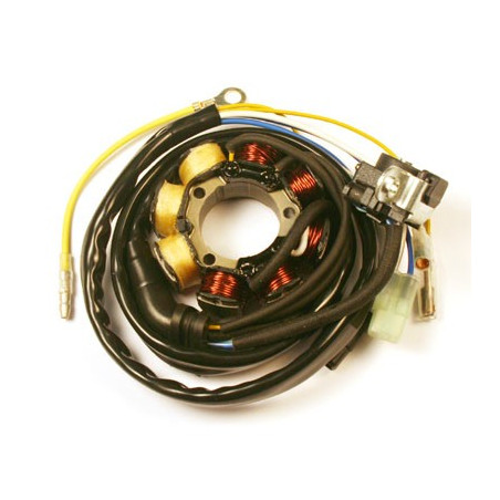 ELECTROSPORT coils (with lights) HONDA CRF 250R (04-09), CRF 450R (05-08) 60W (Halo sensor)