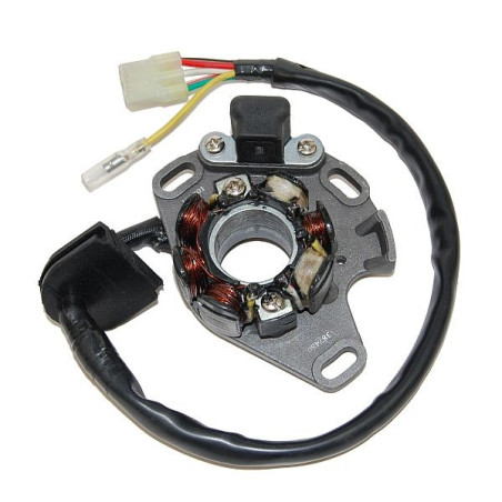 ELECTROSPORT windings (with lights) SUZUKI RM 250 (01-08) 50W