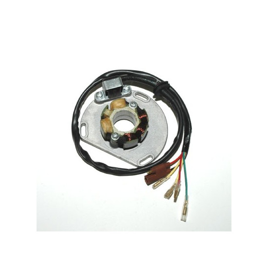 ELECTROSPORT coils (with lights) KTM (50W) (with plate and hall sensor) SX/EXC 125 98-05, SX/EXC250 97-05, EXC 300/360/380