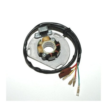 ELECTROSPORT coils (with lights) KTM (50W) (with plate and hall sensor) SX/EXC 125 98-05, SX/EXC250 97-05, EXC 300/360/380