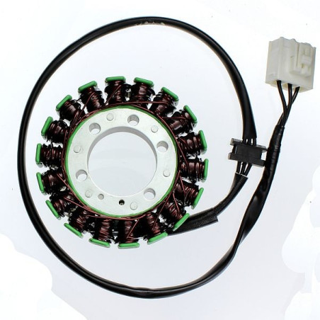 ELECTROSPORT windings KAWASAKI Z1000 10-15, NINJA 1000 10-16