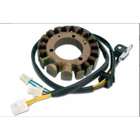 ELECTREX apvijos SUZUKI DR 750/800 BIG '88-'97 (holo daviklis) (115X54X17 MM)