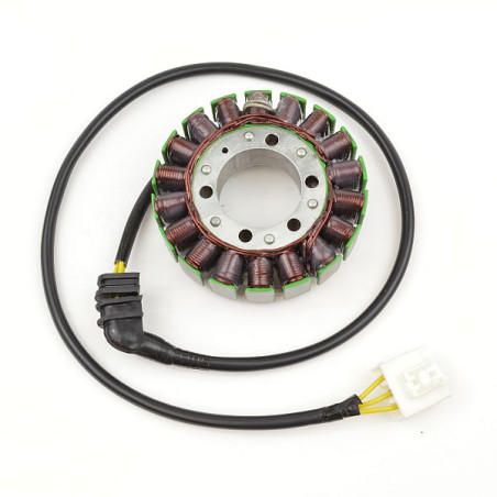 ELECTROSPORT windings HONDA CBR 1100XX (99-03)