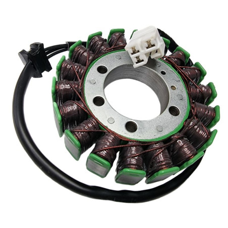 ELECTROSPORT apvijos KAWASAKI NINJA 650 ER 6