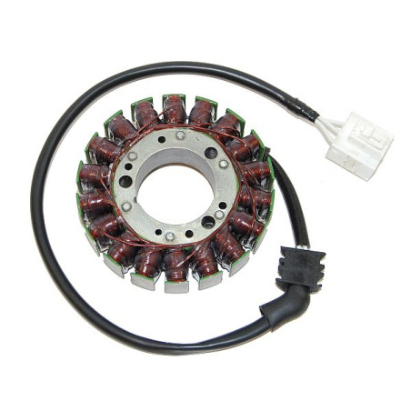 ELECTROSPORT apvijos YAMAHA FZ-1 (01-05)