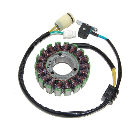 ELECTROSPORT windings YAMAHA YFM 660 RAPTOR (01-05) (300W) (Hall sensor)
