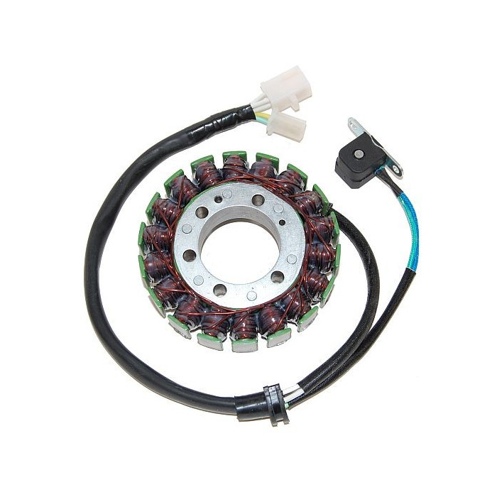 ELECTROSPORT windings YAMAHA YZF 600R THUNDER CAT (95-07)