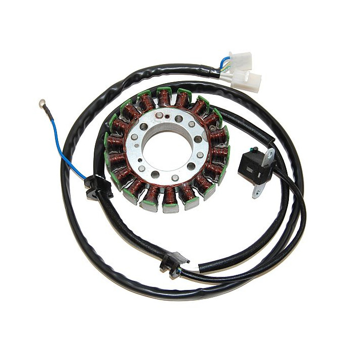 ELECTROSPORT windings YAMAHA XV 250 VIRAGO (95-07), V-STAR 250 (08-15)