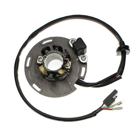 ELECTROSPORT windings SUZUKI RM 125 '92-'95, 250 '94-'95