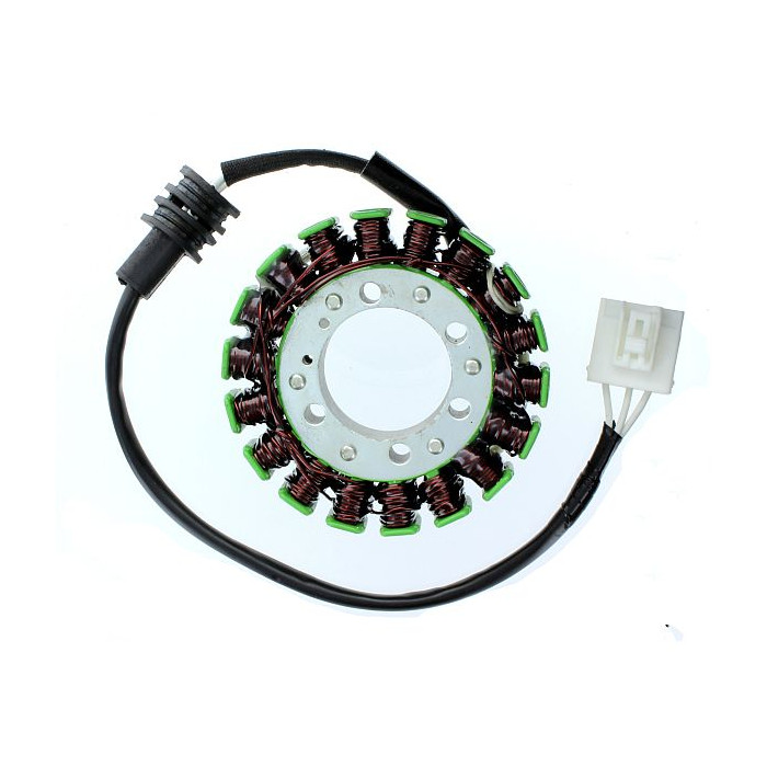 ELECTROSPORT windings YAMAHA FZ6R (09-15)