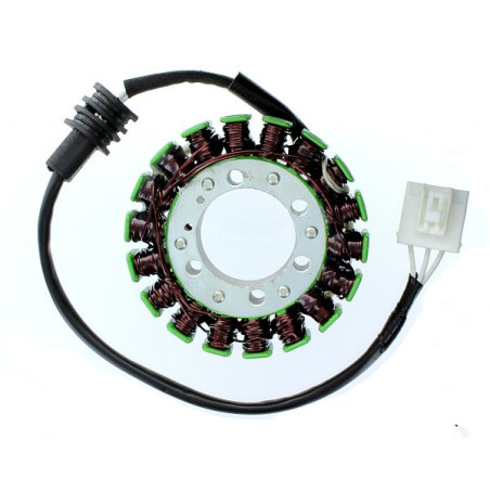 ELECTROSPORT windings YAMAHA FZ6R (09-15)