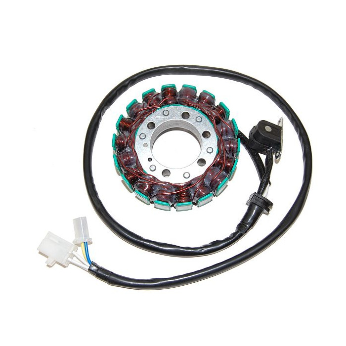 ELECTROSPORT windings YAMAHA FZS 600 FAZER (98-04)