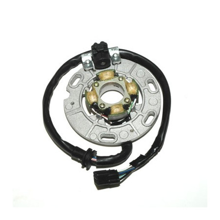 ELECTROSPORT windings YAMAHA YZ 125 '96-'04