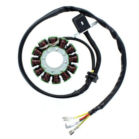 ELECTROSPORT apvijos holo...