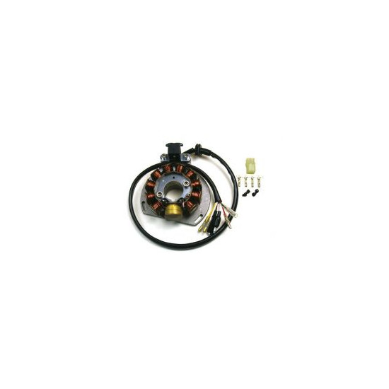 ELECTREX windings KTM EXC 125/200/300/380, EGS 125/200 '98-'00 (84X29X14 MM), GAS GAS