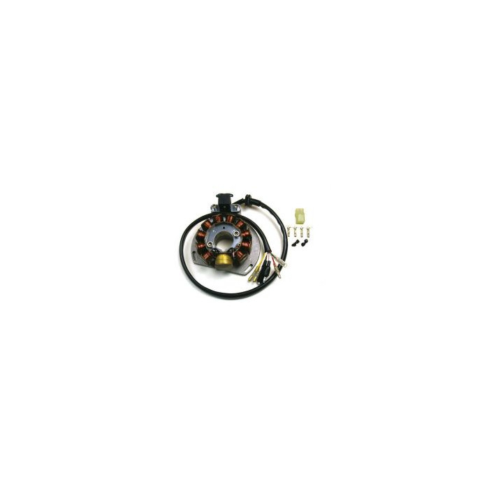 ELECTREX windings KTM EXC 125/200/300/380, EGS 125/200 '98-'00 (84X29X14 MM), GAS GAS