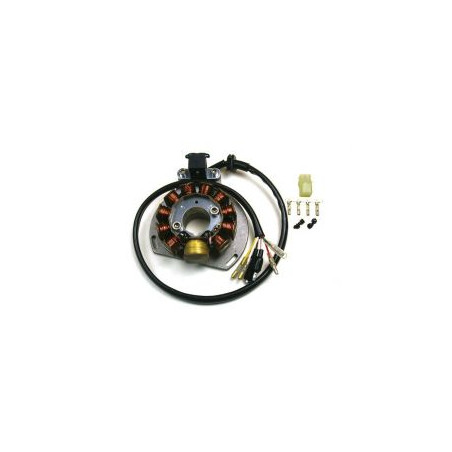 ELECTREX windings KTM EXC 125/200/300/380, EGS 125/200 '98-'00 (84X29X14 MM), GAS GAS