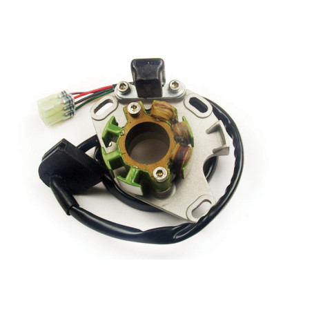 ELECTREX apvijos SUZUKI RM 250 01-08 komplektas ( holo daviklis)
