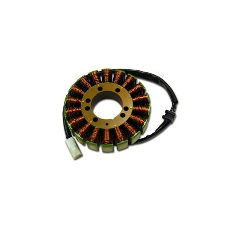 ELECTREX apvijos TRIUMPH SPRINT 955i '98-'04, TIGER 955, SPEED TRIPLE 1050 (103X42X24 MM)