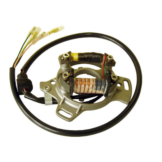 ELECTREX windings KAWASAKI KX 125 '87-'88, KX 250 '81-'88, KX 500 '86-'89