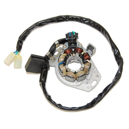 ELECTROSPORT apvijos HONDA CR 250 '97-'99