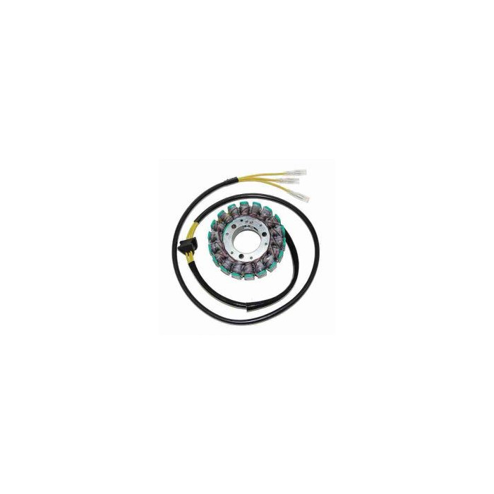 ELECTROSPORT windings SUZUKI GS 450 '80-'88, 500E '89-'00, 550 '81-'82, 650E '81-'82, GSX 750 '80-'83