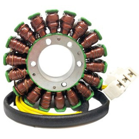 DZE 2022/08 apvijos HONDA VFR 800 '03-13 (OEM 31120-MCW-D03)