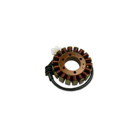ELECTREX apvijos SUZUKI YAMAHA YZF 600 THUNDERCAT, R6