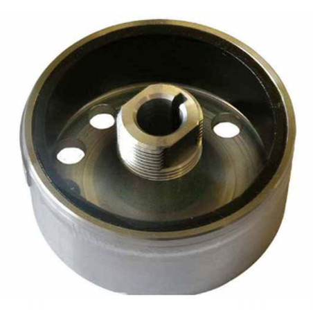 ELECTREX magneto komplektas YAMAHA YZF450 '06-'09 (svoris orginalus) (YZ450F)