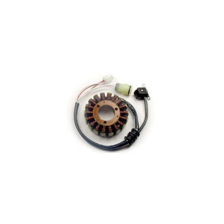 ELECTREX apvijos YAMAHA YFM 660 RAPTOR '01-'05, YMF250 BEATTRACKER '01-'04 (92X35X17 MM)