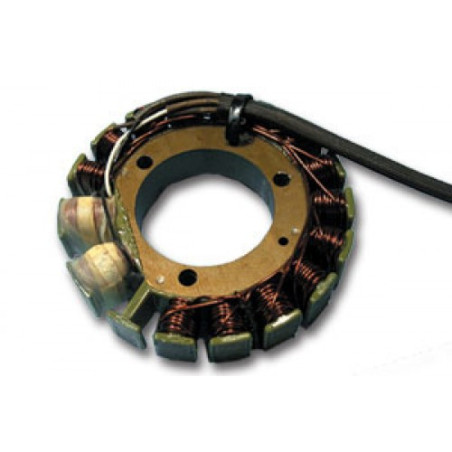 ELECTREX apvijos KAWASAKI KLR250 '85-'05, KLR 600/650 '84-'03, KLX650 '93-'03, YAMAHA XT 600E '90-94 (115X54X17 MM)