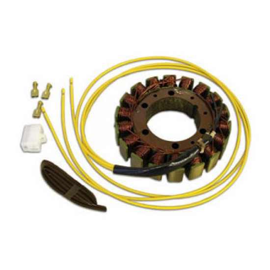 ELECTREX apvijos BMW F 650...