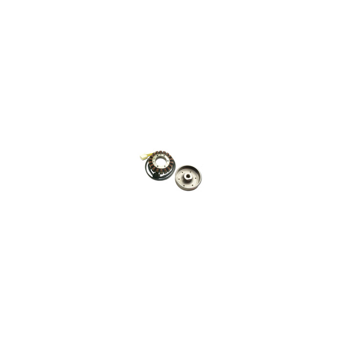 ELECTREX ignition kit (coils, magneto) HONDA CBR 900 RR FIREBLADE (929) SC44 '00-'01