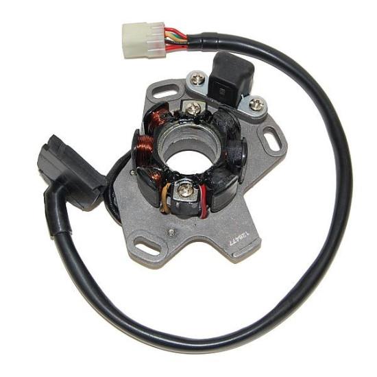ELECTROSPORT apvijos SUZUKI RM 125 '06-'08