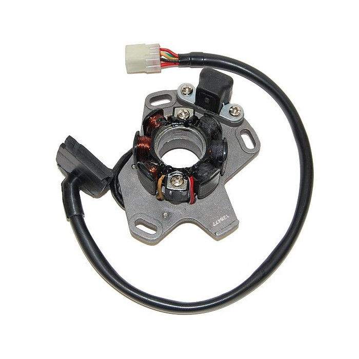 ELECTROSPORT windings SUZUKI RM 125 '06-'08